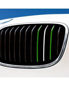 Nierenaufkleber - REFLEKTIEREND - Arabien- Grün/Weiß/Grün